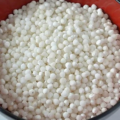 RN CART Whole Sabudana | Sago | Tapioca Pearls | whole Sago Fasting Food Sago