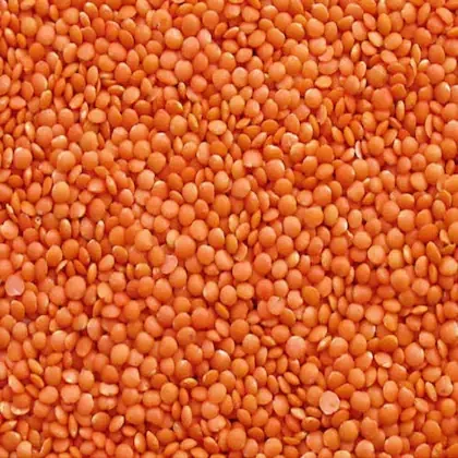 Organic Masoor Dal - Red Lentil - 500G